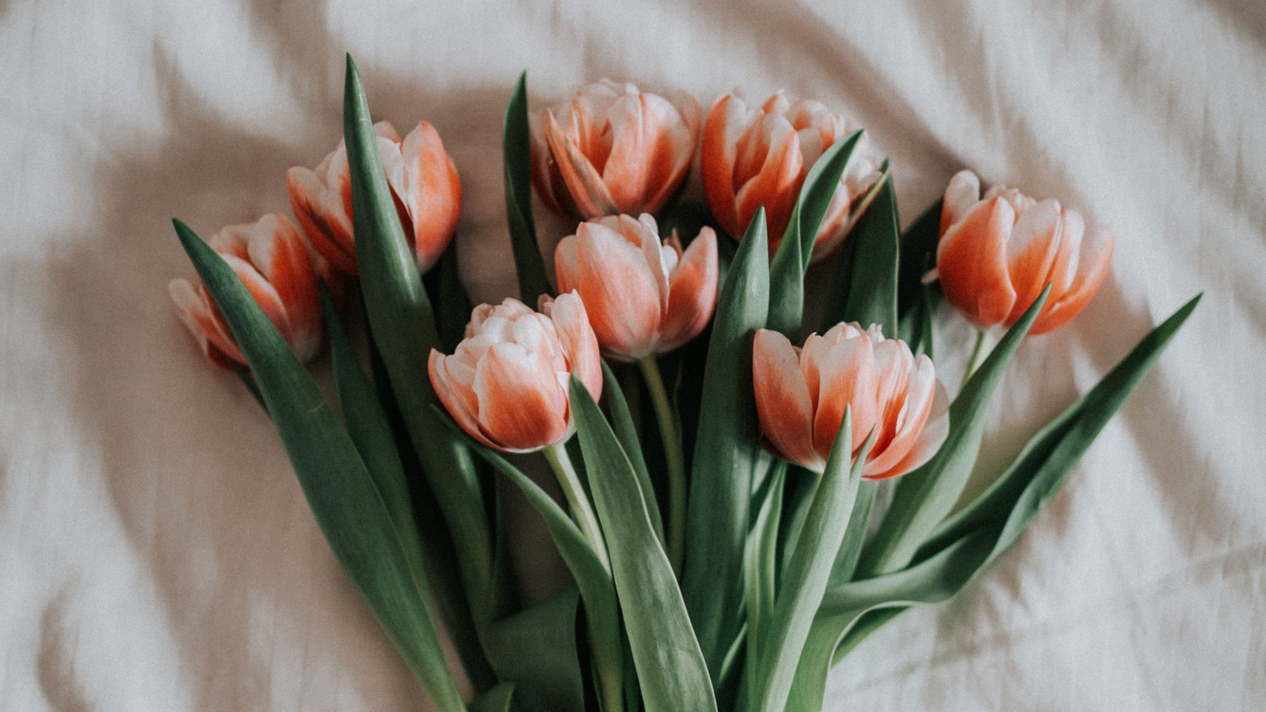 Especial San Valentín 15% Descuento